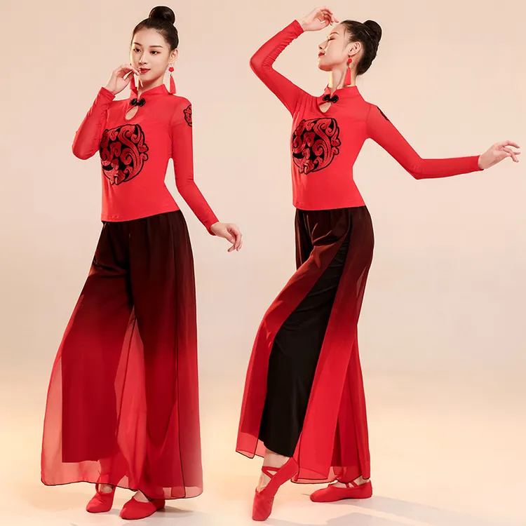 中国风古典舞蹈服装女黑色现代舞身韵纱裙裤民族舞演出服秋冬新款