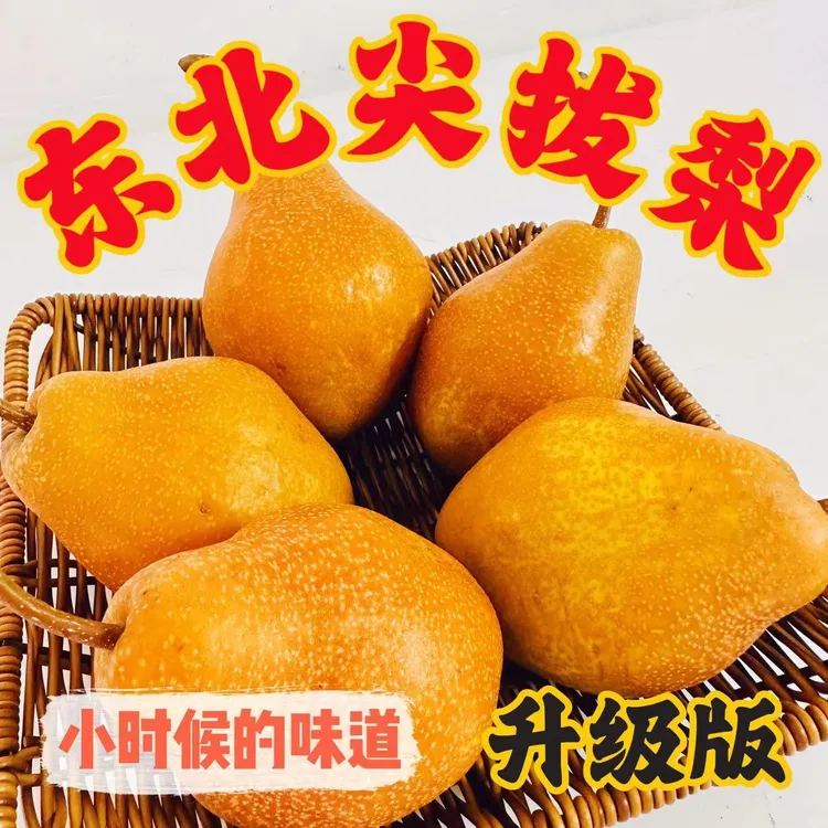 东北新鲜老式尖把梨葫芦把皮薄细肉汁水多口感好3斤5斤包邮顺丰