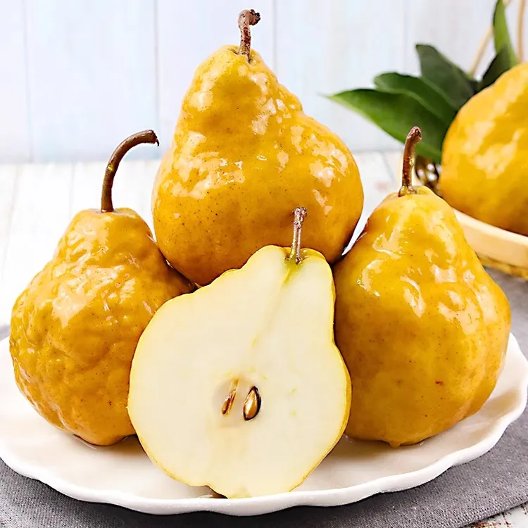 中华丑梨正宗山东烟台梨子软糯多汁新鲜水果软梨啤梨现货速发4.5