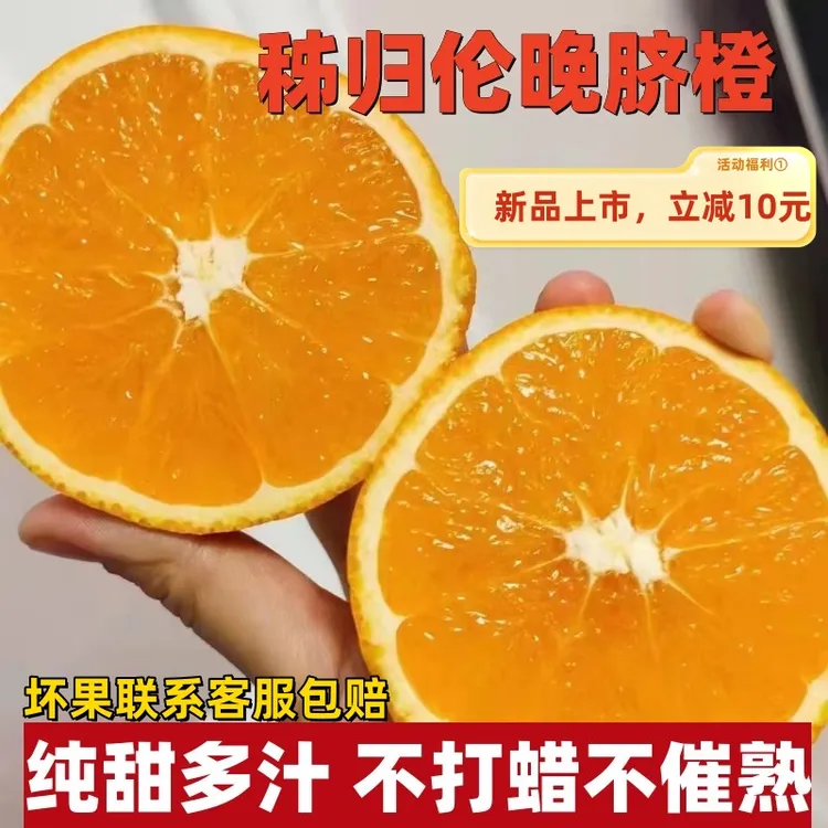 秭归脐橙秭归伦晚脐橙皮薄细腻多汁爆汁水分多原产地采摘直发新鲜