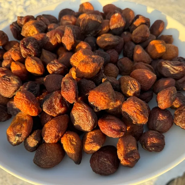 新疆树上的杏干500克大丑杏（非打Yao 杏干存在虫子问题，介意勿拍）