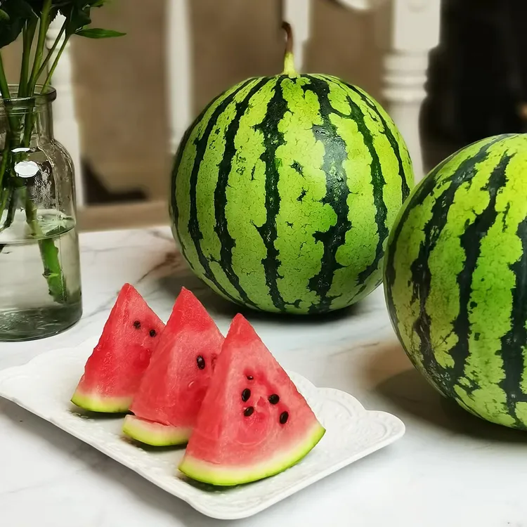 正宗南汇本地头茬8424西瓜原苗包熟黑籽现摘现发皮薄鲜甜自然新鲜