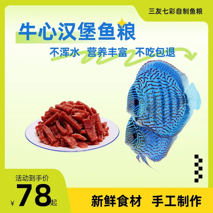 七彩神仙鱼埃及燕子鱼粮鱼饲料牛心汉堡鱼食