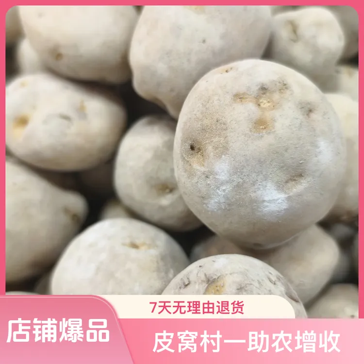 ［皮窝村一助农增收］富硒土豆