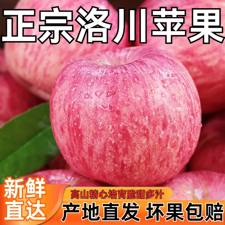 陕西正宗洛川红富士新鲜苹果产地直发脆甜多汁应季水果不打蜡包邮