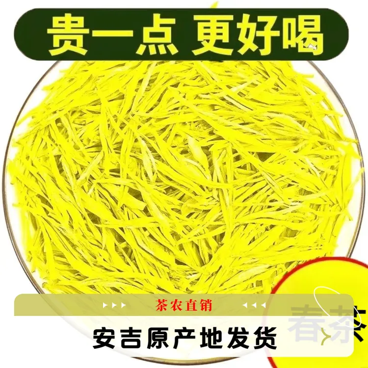 【野茶黄金芽】安吉2024新茶高山雨前黄金牙绿茶白茶正宗浓香型黄茶