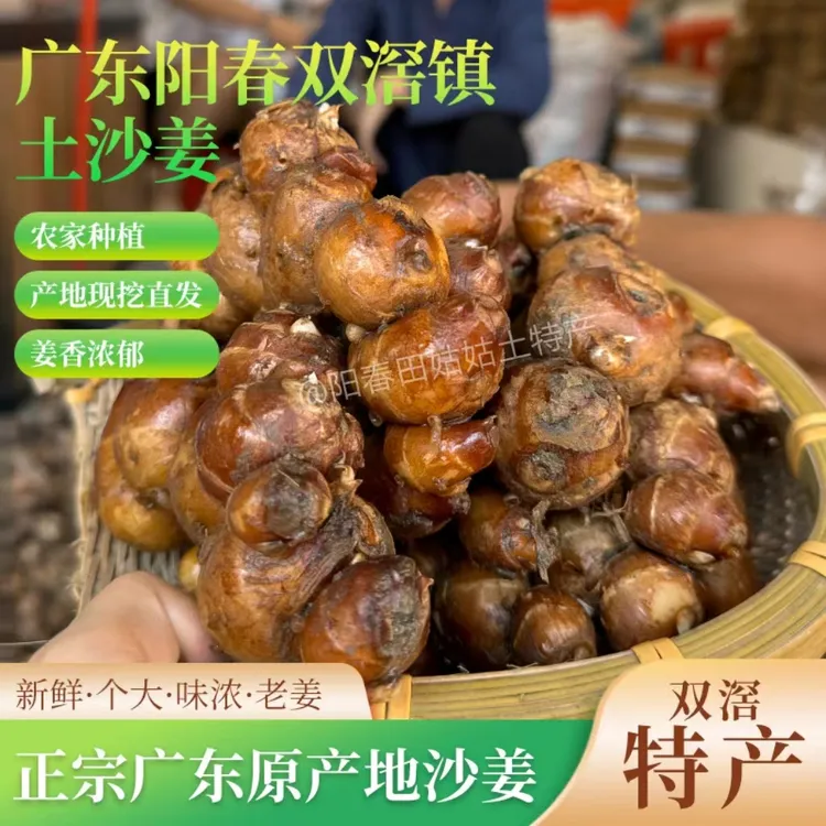 新鲜沙姜晒干山奈正宗广东白切鸡椰子鸡沙姜鸡精品新鲜蔬菜包邮