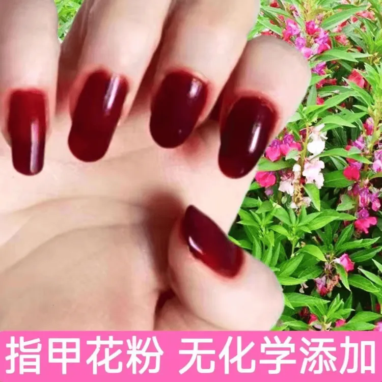 【送工具】指甲花粉小桃红冬夏季可用植物包指甲红色车厘子红风仙花