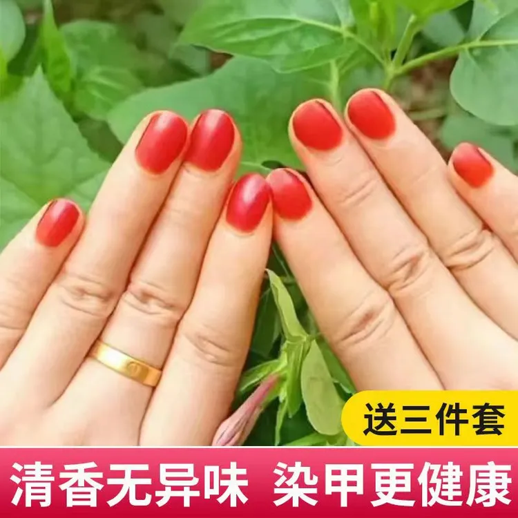 植物指甲花晕染女指甲花粉指甲草凤仙花染指粉小桃红花粉红色美丽
