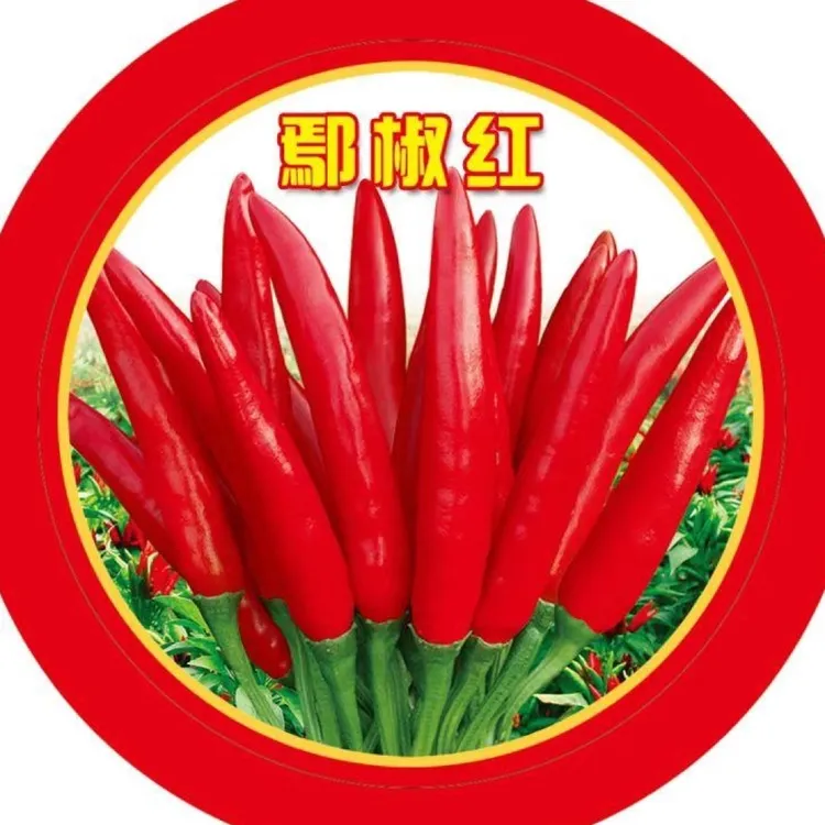 粮鑫鄢椒红辣椒种