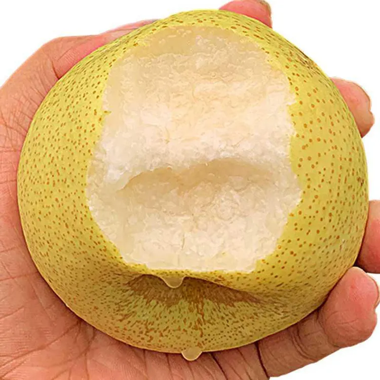 Y砀山酥梨老梨树 应季水果 现摘现发 坏果包赔