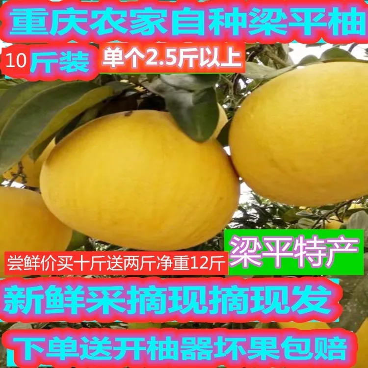 重庆特产梁平柚子梁山柚平顶柚麻柚白心柚甘甜当季新鲜水果产地vs