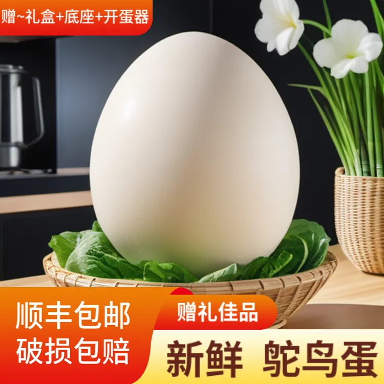 农家散养鸵鸟蛋新鲜鸵鸡蛋大号食用赠礼农场直发破损包赔送货上门