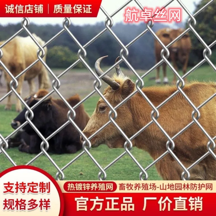 热镀锌养殖网不生锈铁丝网猪牛羊狗园林山地防护网围栏网户外防护