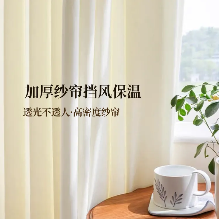 天丝绒纱帘透光不透人窗帘挡风卧室客厅阳台防刮防勾丝保温隔断帘