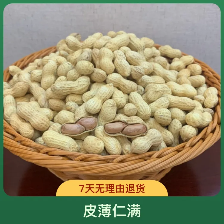 精选蒜味陈皮花生新货龙岩特产水煮咸香五香盐水咸干带壳 花生5斤