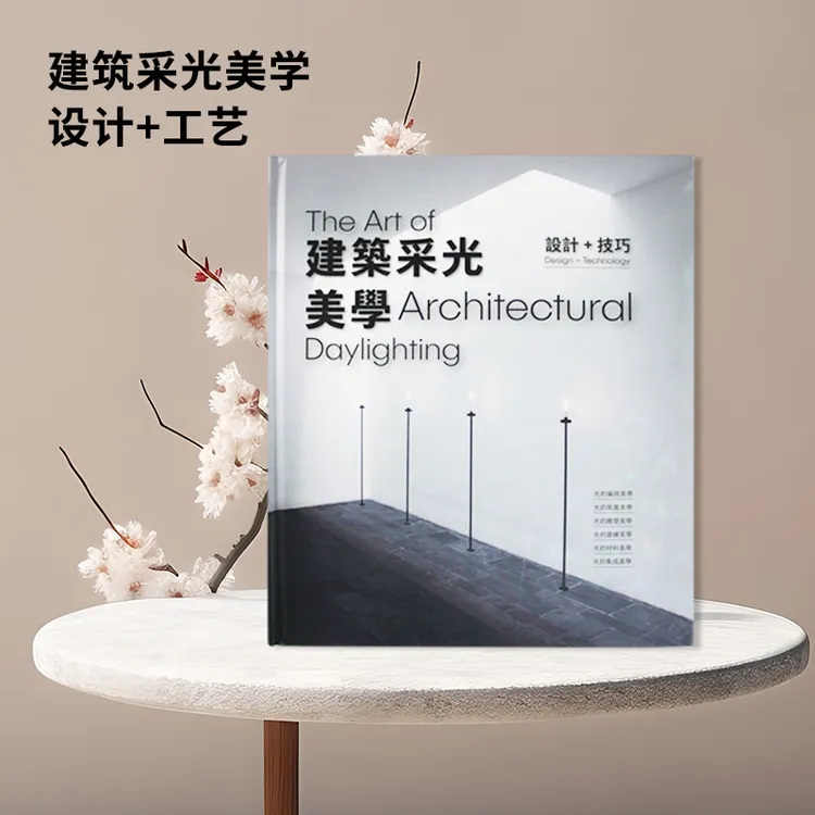 建筑采光美学 设计+工艺 空间规划采光作品合集 图书 别墅 图纸