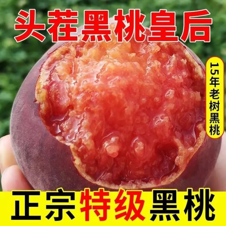 【于甄鲜选】山东蒙阴黑桃皇后脆甜多汁毛桃现摘现发3-4.5斤装