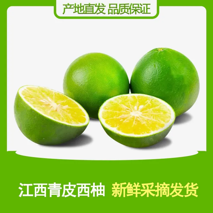 江西青皮西柚 西柚当季新鲜 现摘现发 水果
