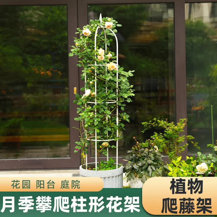 庭院通用型爬藤架铁线莲螺旋组合牵引安装月季植物阳台攀爬花架子