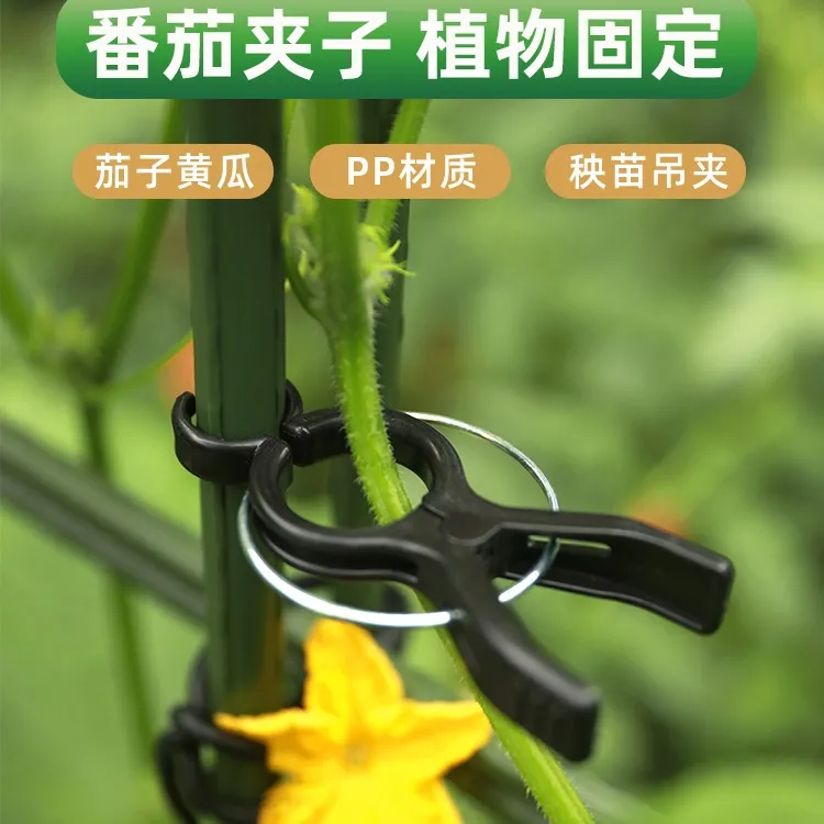 种菜园艺通用夹菜架子黄瓜植物番茄固定夹子西红柿支撑卡扣爬藤架