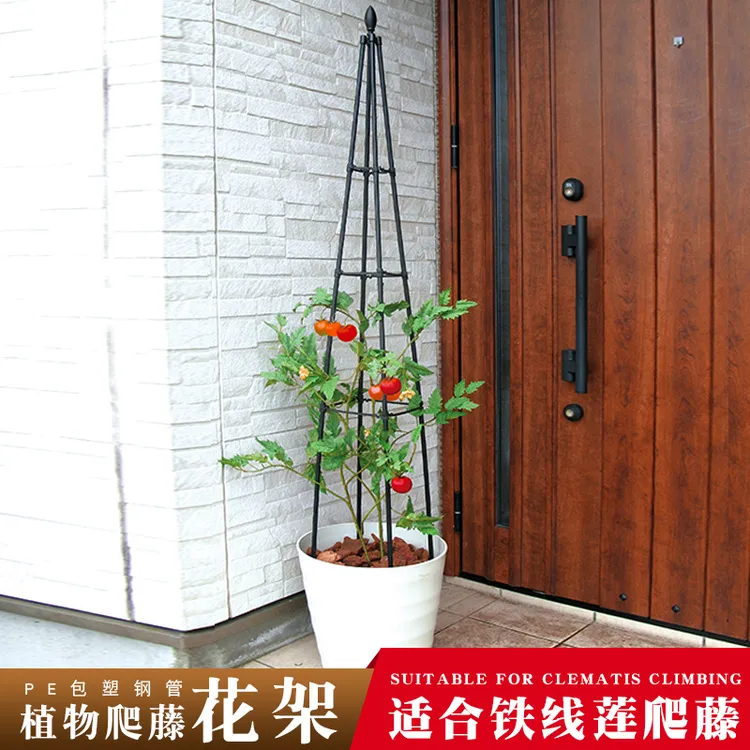 铁线莲月季爬藤架家庭阳台固定植物支架四脚三角梅支撑杆