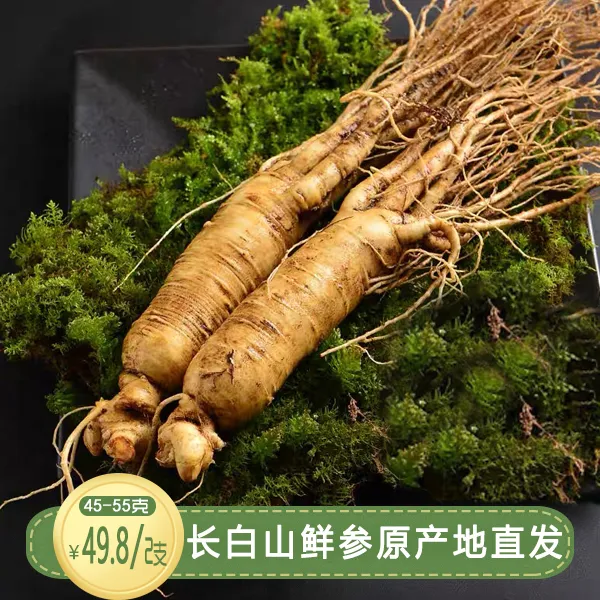 吉林长白山新鲜人参2支（单支45-55克）
