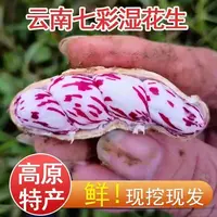 【七彩花生5】现收山货花生农家自种好吃清香营养价值高