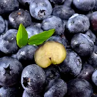 【蓝莓专属】采摘云南蓝莓 好吃又甜【蓝莓】