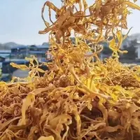 【特级笋丝】边境深山现收高级山货蔬菜组合好吃【笋丝搭配食用】