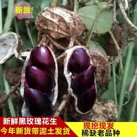 【黑花生专属】富硒富含花青素现收山货花生农家自种好吃