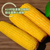 【龙江好物-含试吃2根】金色农投东北鲜食玉米-黄金糯九220g*10支