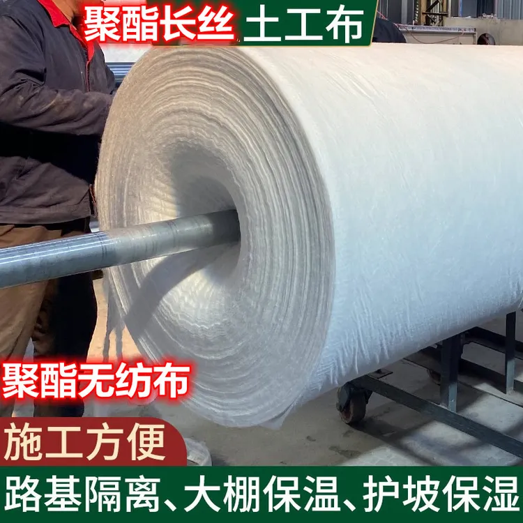 涤纶聚酯现货长丝土工布白色无纺土工布200g400g土工布厂家直销