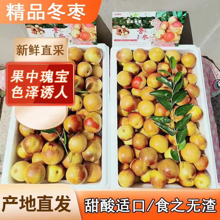 【沾化特产】正宗《一代》冬枣应季精选水果新鲜采摘脆甜多汁包邮到家