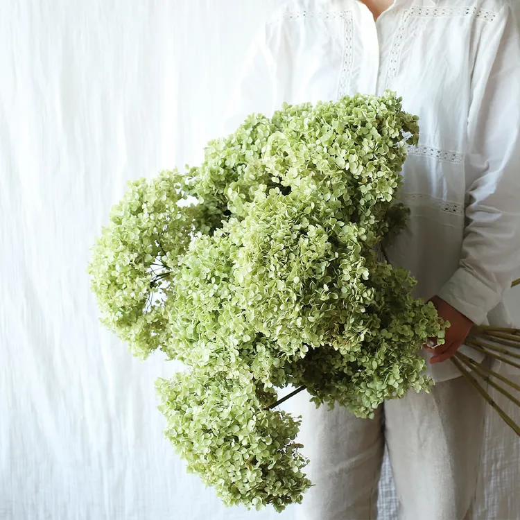久伴天然绣球干花花束真花树枝客厅桌面装饰摆件侘寂复古轻奢高级