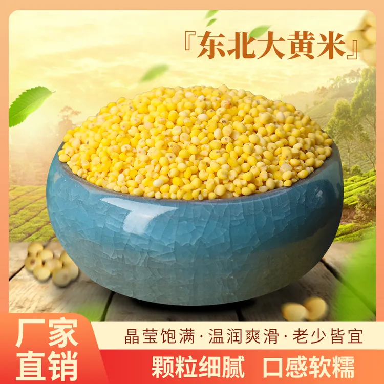 2025年东北农家大黄米5斤黍米粘糯香甜年糕包粽子糍粑黍子