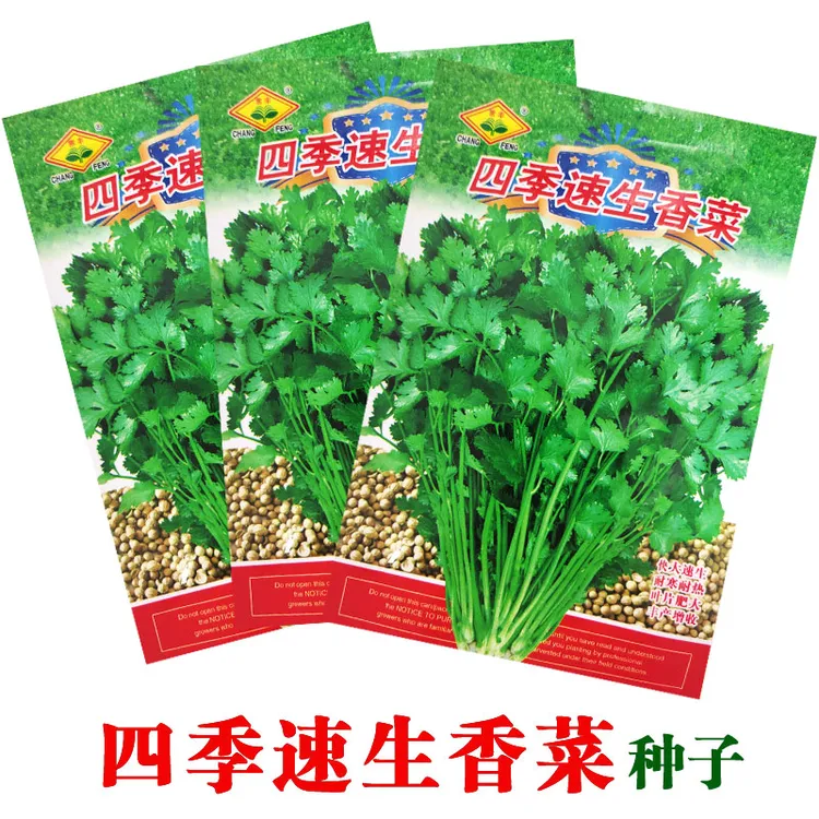 【黑马园艺】香菜种子老品种籽春秋季阳台大小叶香菜种子耐寒耐热