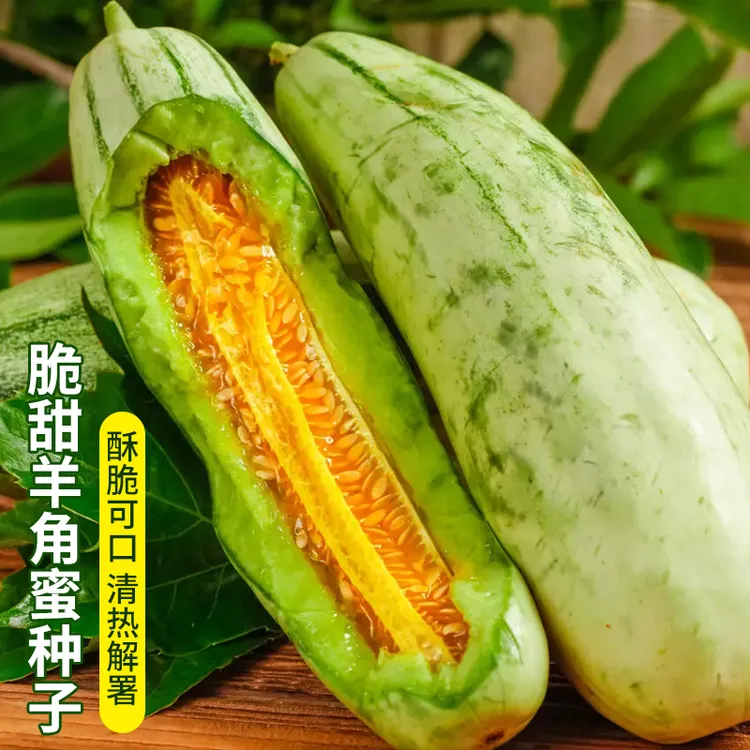 【黑马园艺】脆甜羊角蜜种子四季阳台脆香瓜甜瓜种籽冰糖子甜瓜种