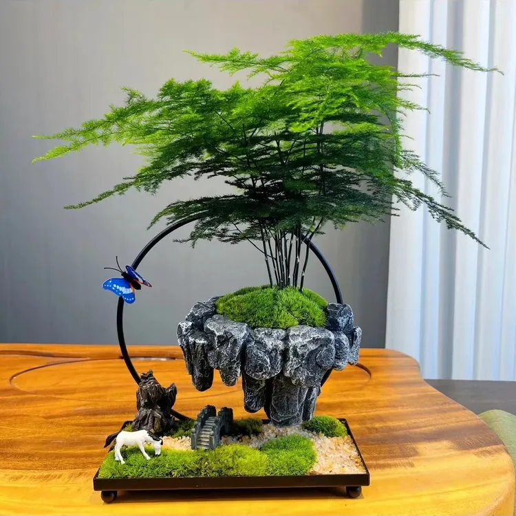 【天空之城】创意迷你文竹绿植茶桌桌面浇水结婚组合造景陶瓷盆景