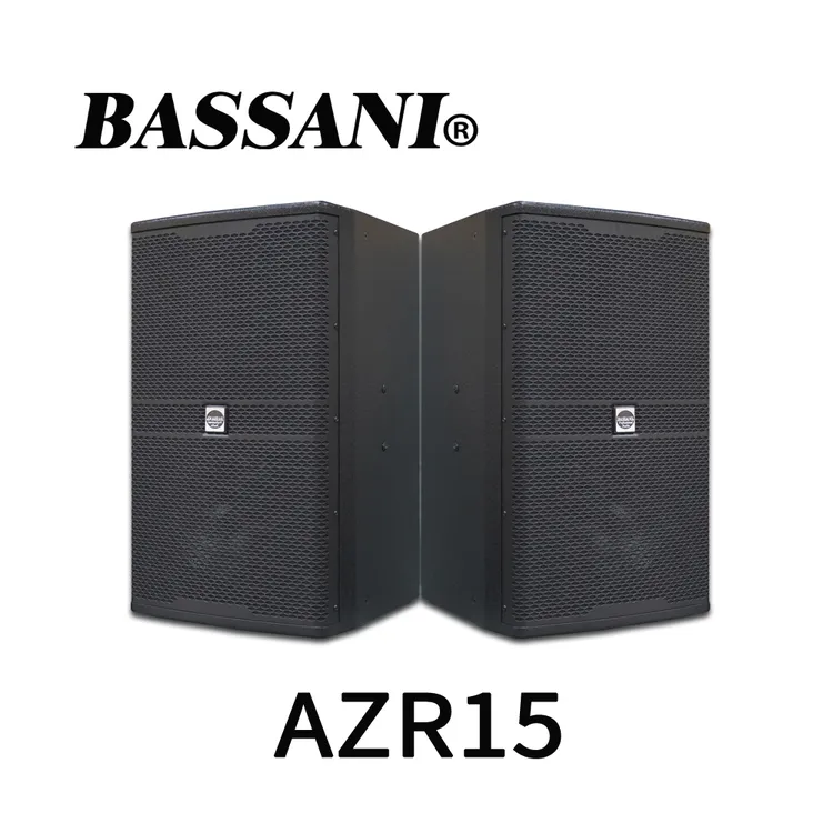 BASSANI单10/12/15寸专业户外酒吧演出KTV影K音响专业音响多媒体
