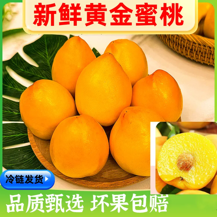 【黄金蜜桃】新鲜多汁自然成熟现采现摘香甜爆汁鲜嫩