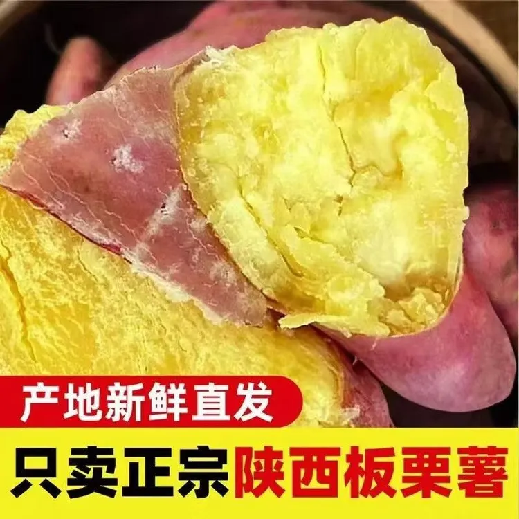 陕西当季正宗板栗红薯现挖新鲜红皮黄心临潼地瓜番薯蜜薯沙地香薯