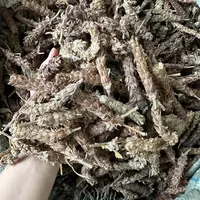 精选夏枯草     
