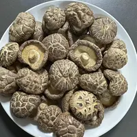 精选花菇       