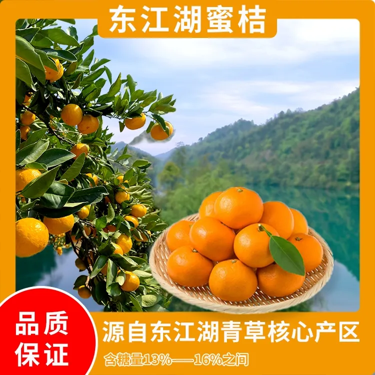优选湖南郴州东江湖青草蜜桔风味浓郁皮薄多汁无核化渣东江湖蜜桔
