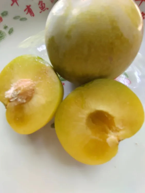 云阳龙角镇蜂糖李子(顺丰航空包邮)