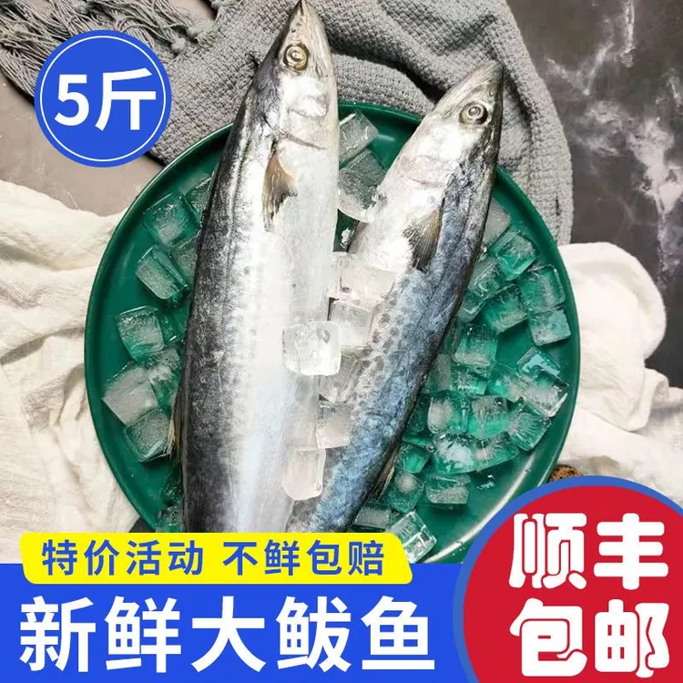 【净重五斤】燕尾鲅鱼五斤净重发货 顺丰包邮速冻深海捕捞