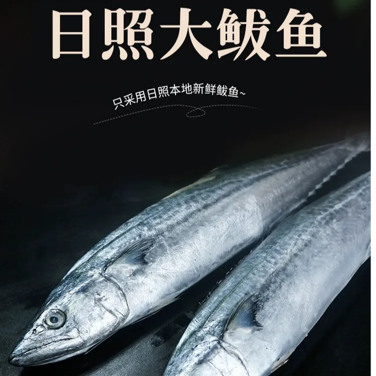 【净重五斤】燕尾鲅鱼五斤净重顺丰包邮速冻深海捕捞