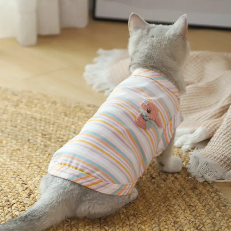 猫咪衣服春秋宠物公猫小猫薄款防掉毛银渐层英短秋冬猫猫幼猫背心