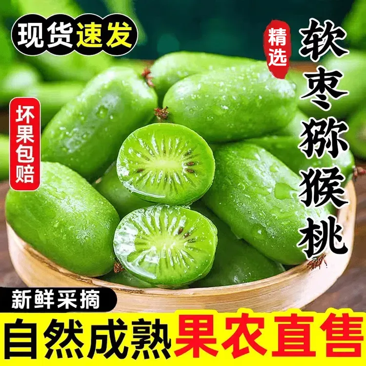 礼盒装【放软食用】软枣猕猴桃 圆枣子 奇异莓 现摘现发 D
